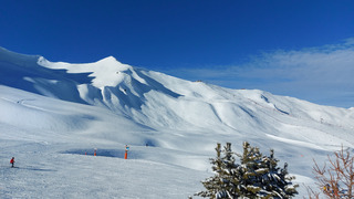 Bluebird (pow)day ? 