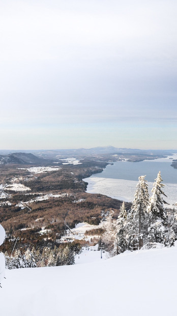 White top au Mont Owl’s Haid 