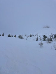 Un peu de neige et beaucoup de brouillard