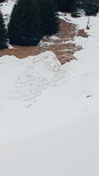 Du ski de géant à Arêches Beaufort 