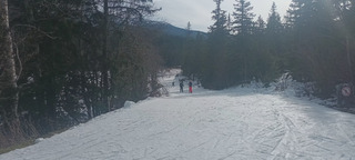Ski de fond scolaire