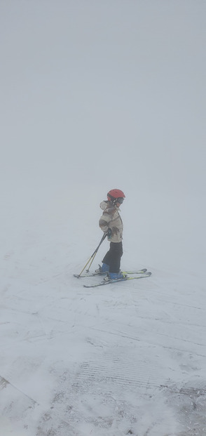 "Derrière le brouillard " Alpe du Grand Serre 20 Février 2024