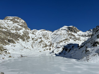Janvril dans le Mercantour
