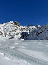 Janvril dans le Mercantour