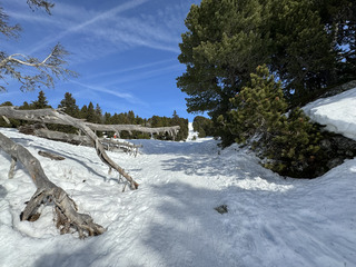 Rando Chamrousse