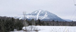 Owl&rsquo;s Head vue 