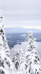 Owl’s Head vue 