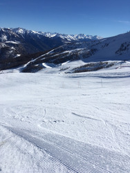 Le printemps est là ???! 🤨