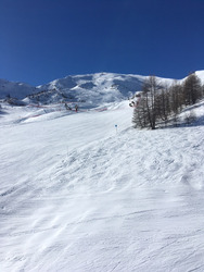 Le printemps est là ???! 🤨