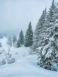 Toujours des conditions d'Avril, mais un bon Avril