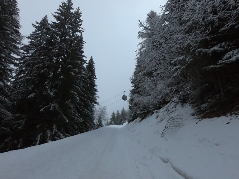 Arrivée timide de la neige