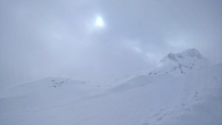 Un p'tit coup de blanc