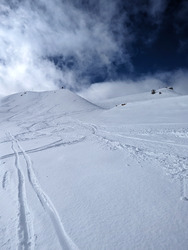 Un p'tit coup de blanc