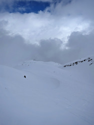 Un p'tit coup de blanc