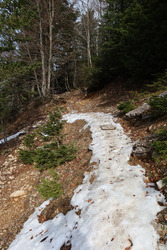 De la boue, de la glace puis une belle moquette d'avril au dessus...
