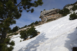 De la boue, de la glace puis une belle moquette d'avril au dessus...