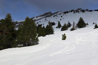 De la boue, de la glace puis une belle moquette d'avril au dessus...