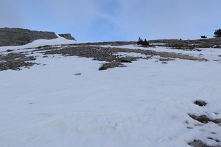 De la boue, de la glace puis une belle moquette d'avril au dessus...