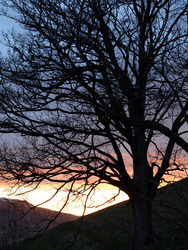 Dead end in the Gantrisch