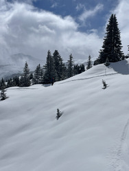 Soleil et neige 