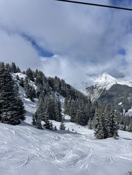 Soleil et neige 