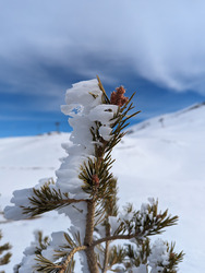 En France on n'a pas de chute de neige, mais on a des idées 👍