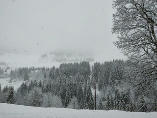 Des flocons, en live
