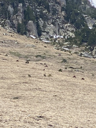 « Pourtant, que la montagne est belllleuh »