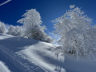 Journée de rêve, neige fraîche et ciel bleu du Queyras