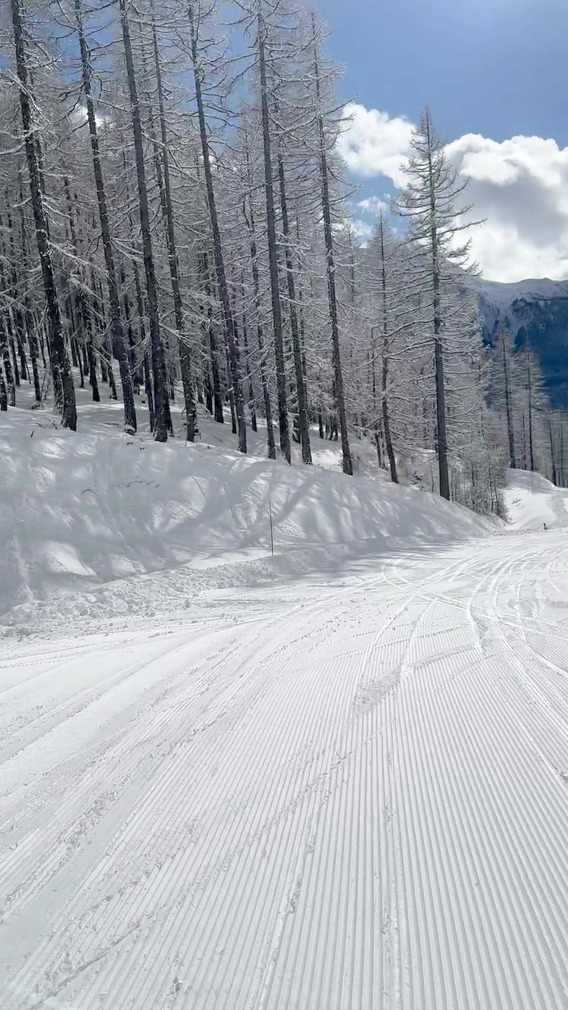 Journée de rêve, neige fraîche et ciel bleu du Queyras