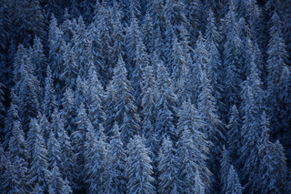 Tout est plus blanc, tout est plus beau