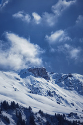 Tout est plus blanc, tout est plus beau
