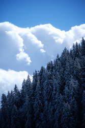 Tout est plus blanc, tout est plus beau
