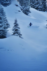 Tout est plus blanc, tout est plus beau
