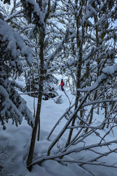 Tout est plus blanc, tout est plus beau