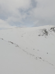 Sursaut d'hiver 