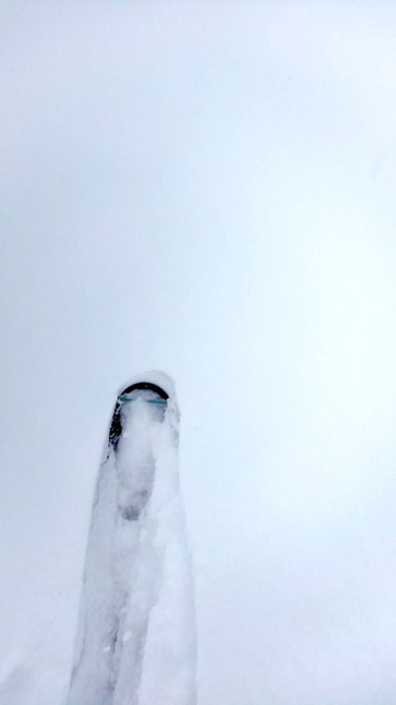 Entre repli et Go dans la tempête 