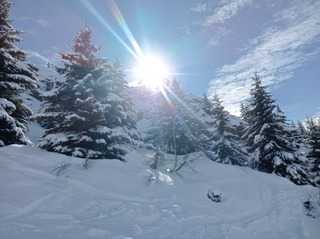 Magnifique 