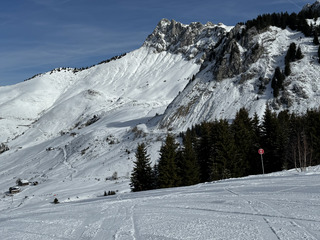 Matinée carving 5/5