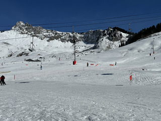 Matinée carving 5/5