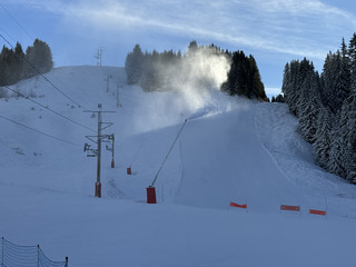 Matinée carving 5/5