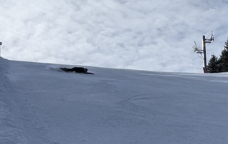 Matinée carving 5/5