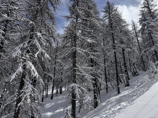 Pow, froid, soleil, neige