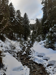 Accès Praz l'Evêque fermé, les raisons...