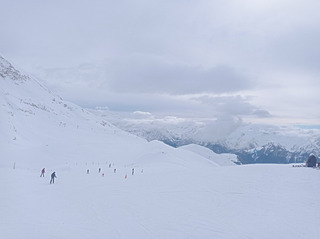 Combe charbonnière ouverte