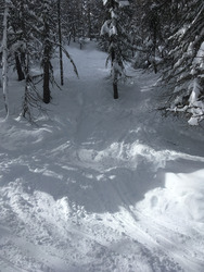 De la neige fraîche… et bien plus à venir