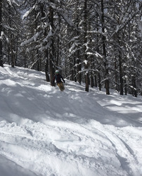 De la neige fraîche… et bien plus à venir