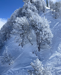 Le Paradis !! 