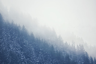 Activit&eacute;s familliales