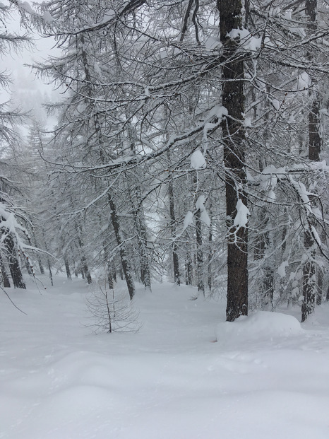 Courir après la neige … jusqu'à Sestrières